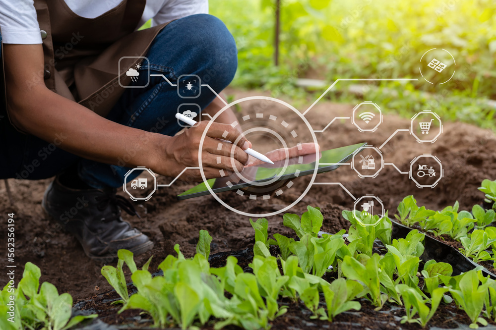 智能手机概念应用智能农民现代农业技术和视觉图标