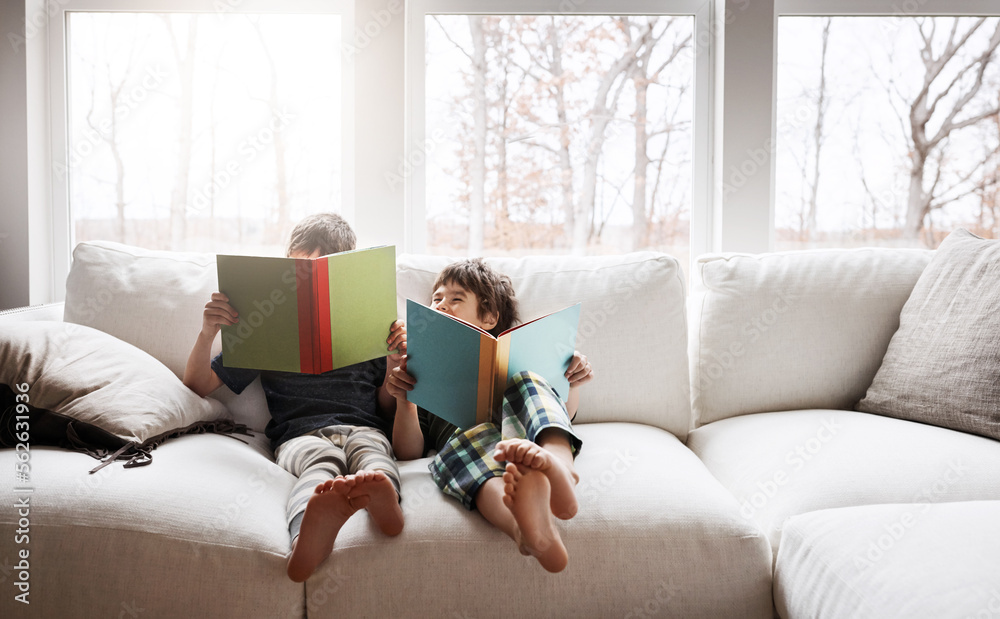 孩子们，在教育、学习或放松中阅读书籍，在家庭客厅或家庭中学习