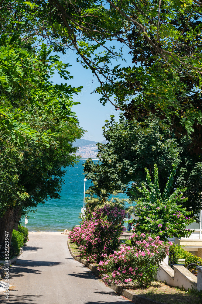 一条小路，有美丽的盛开的花园，可以看到阿达拉群岛上的马尔马拉海。伊斯坦布尔