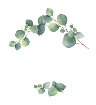 水彩花环，配有绿色的桉树叶和树枝。非常适合用于婚礼请柬、明信片、剪贴簿、母亲节贺卡装饰、包装、贺卡。 