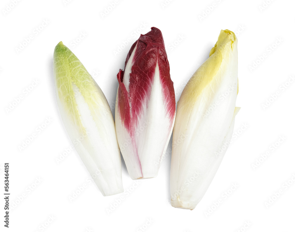 Bunches of fresh ripe endive on white background