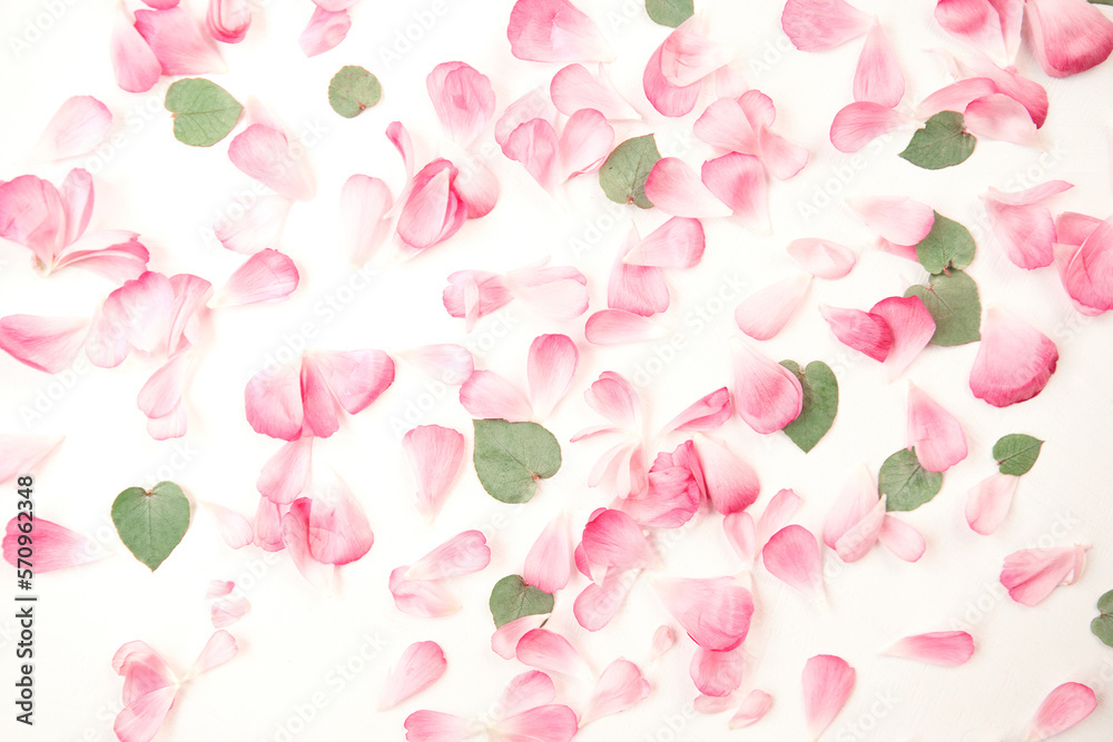 Petals of flowers, roses and ranunculus. Valentines day romantic background . Space for text.
