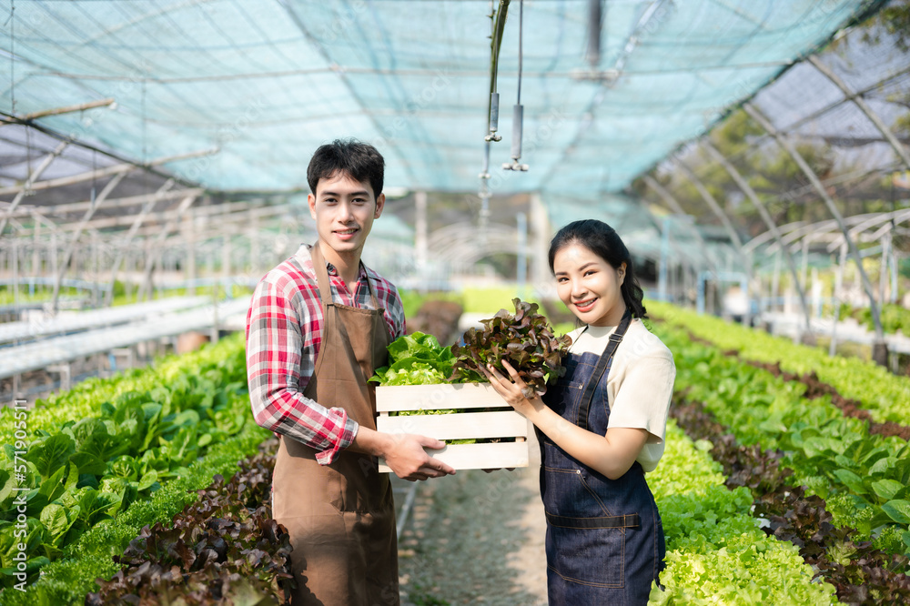Asian farmer using hand holding tablet and organic vegetables hydroponic in greenhouse plantation. F
