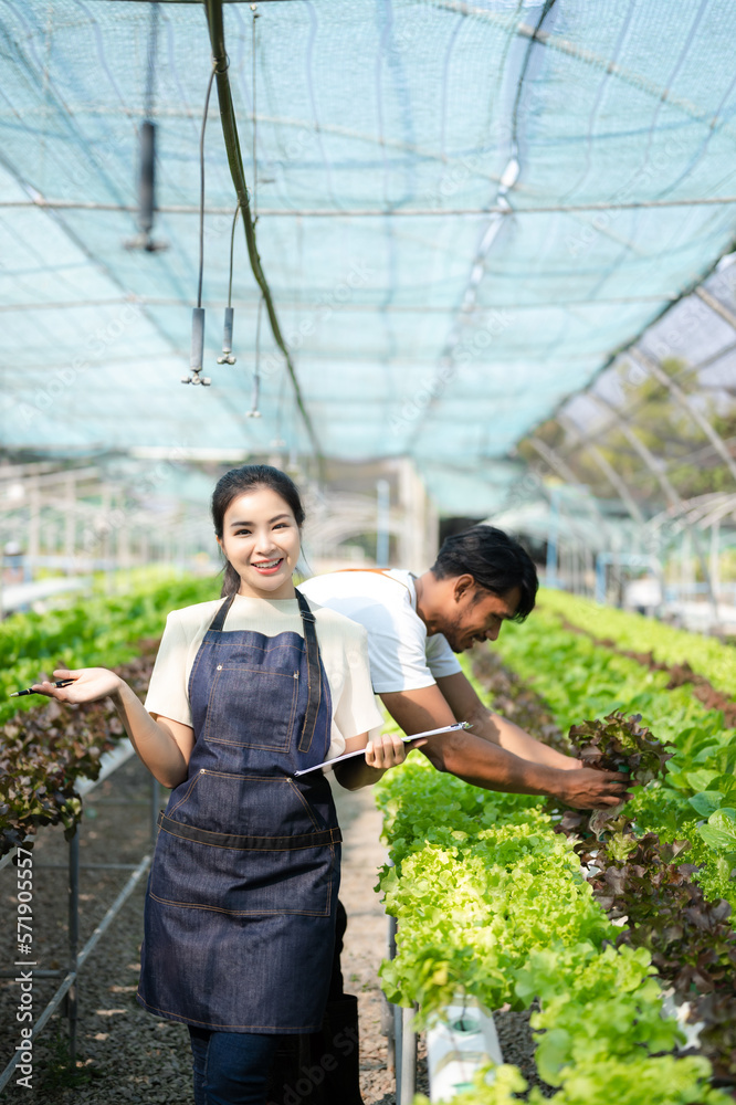  Asian woman and  man farmer working together in organic hydroponic salad vegetable farm. using tabl