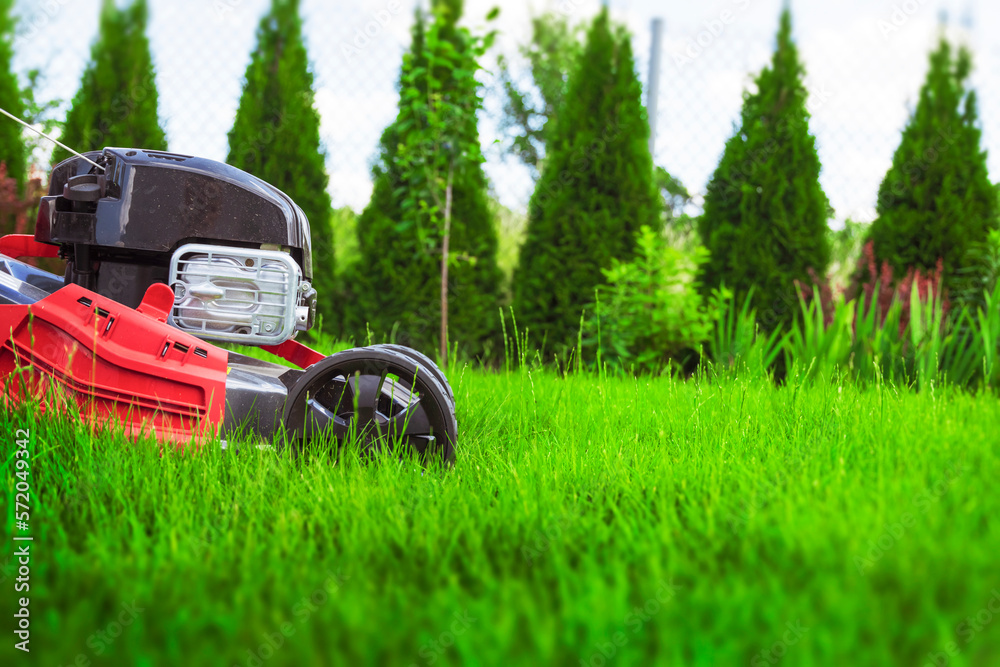 Close up view of lawn mower cutting grass on sunny summer day