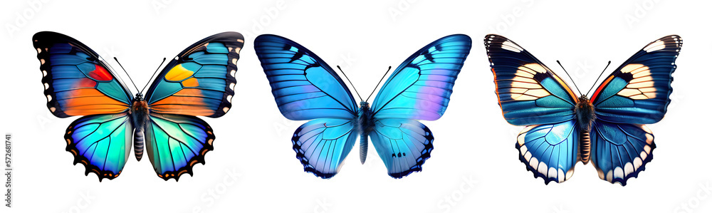 A set of three very beautiful blue butterflies with color transitions isolated on a transparent back