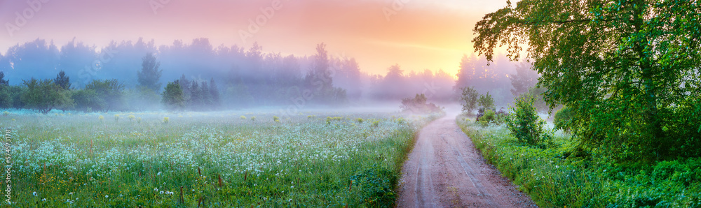 Country gravel road in fog in natural park in summer.