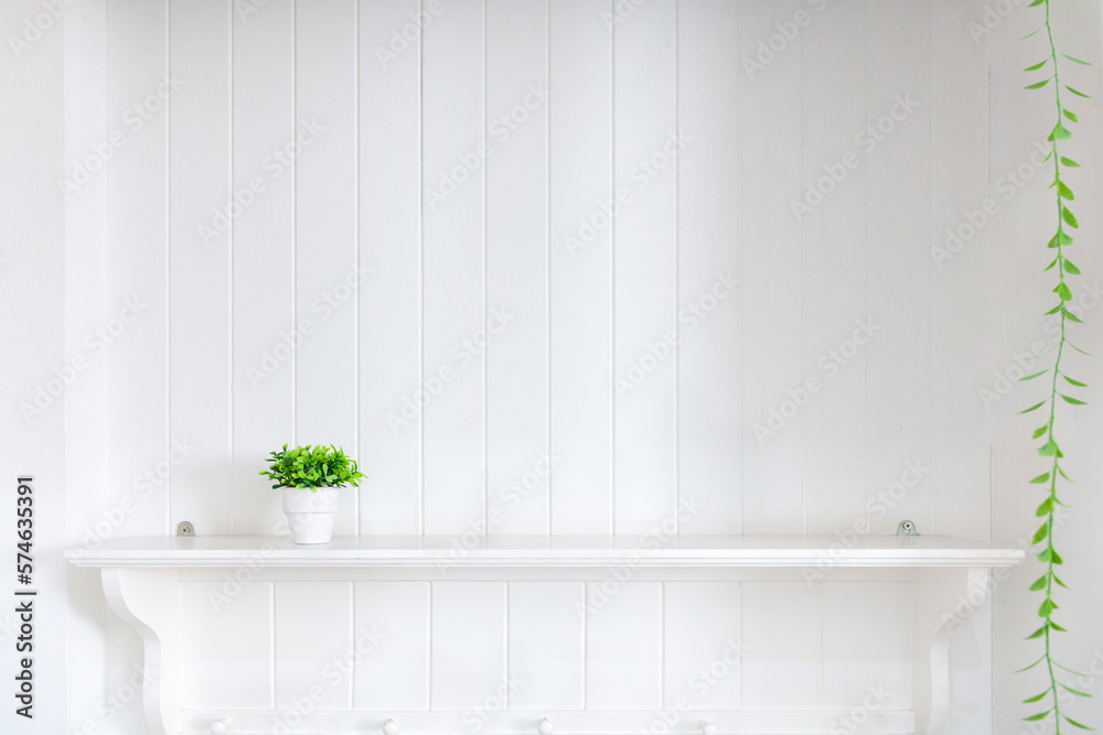 Wooden shelf on white vintage wall with plant.