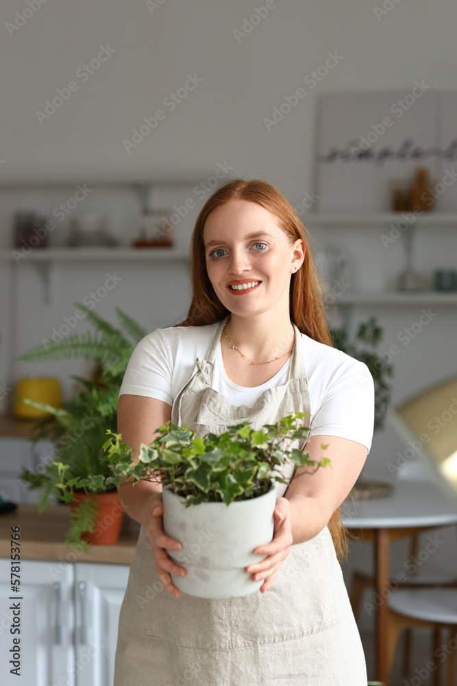 Young woman with green houseplant in kitchen