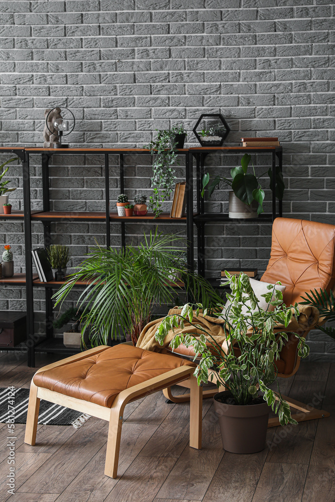 Interior of living room with houseplants, shelving unit and armchair