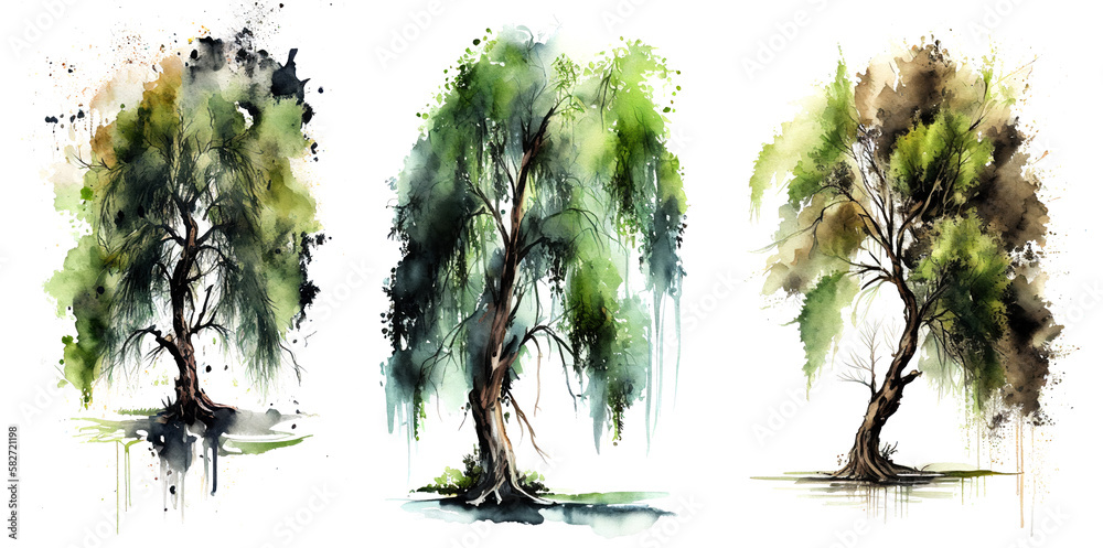 Watercolor tree isolated on white background.