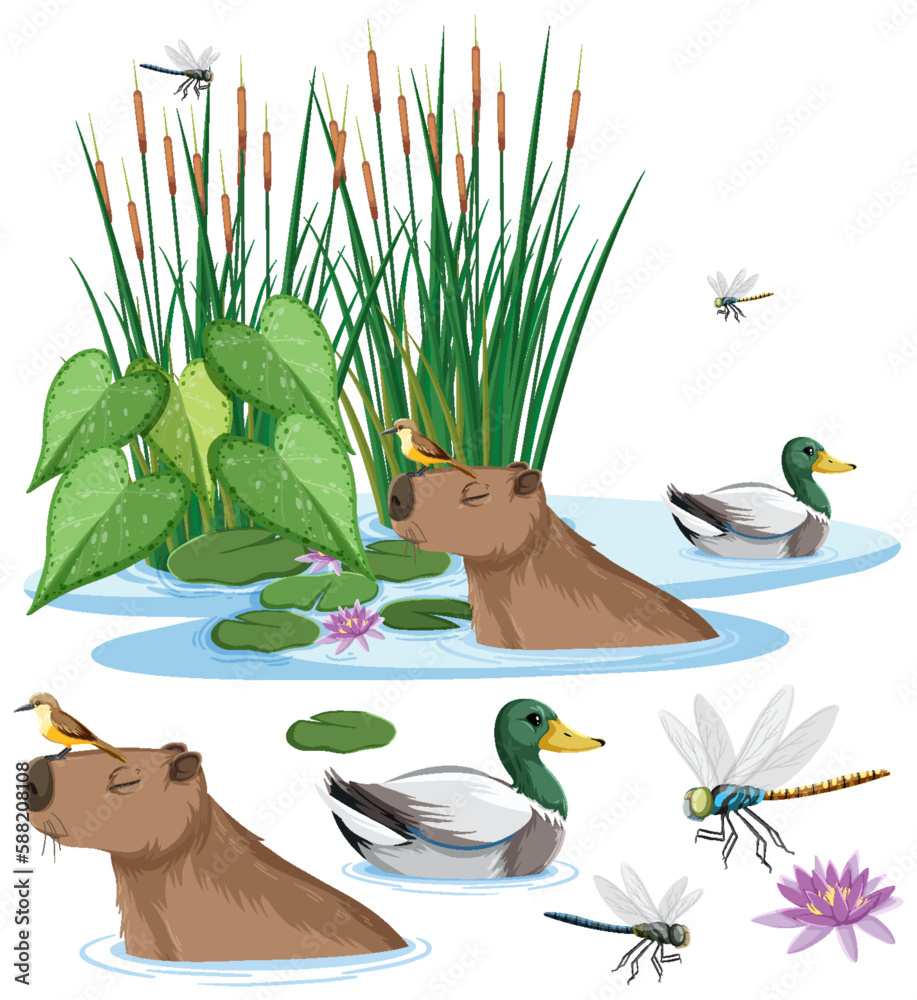 Capybara and duck in the pond