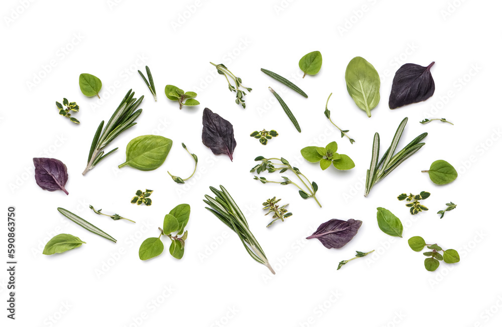 Composition with different fresh spices and herbs on white background