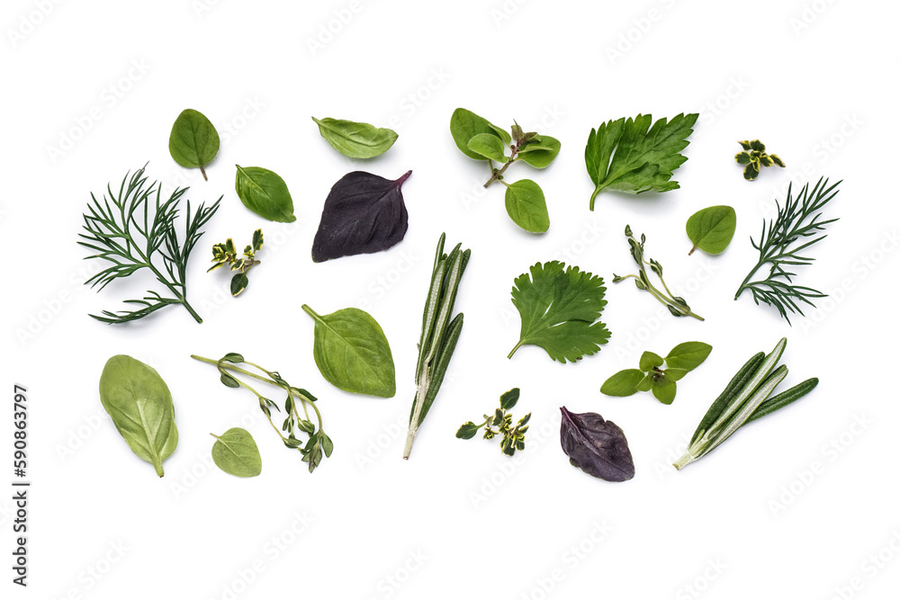 Composition with fresh herbs isolated on white background