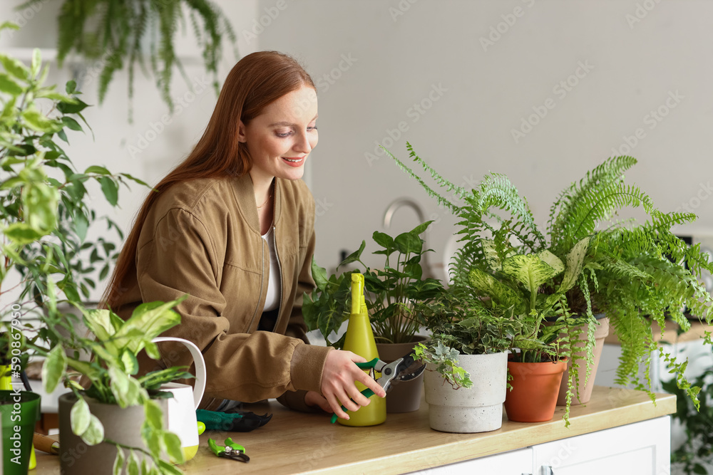 Young woman with pruner and green houseplants on table at home