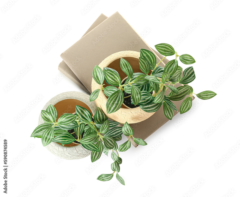 Artificial plants with books on white background