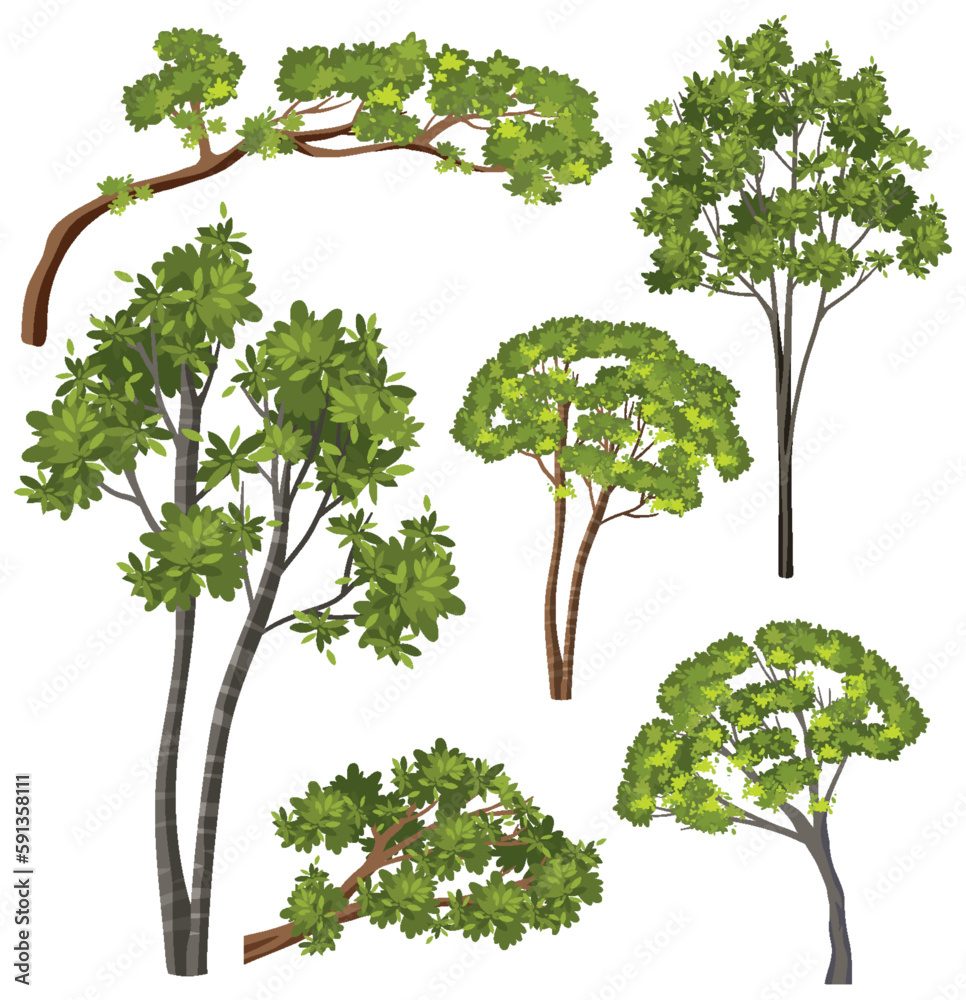 Diverse Trees Vector Set