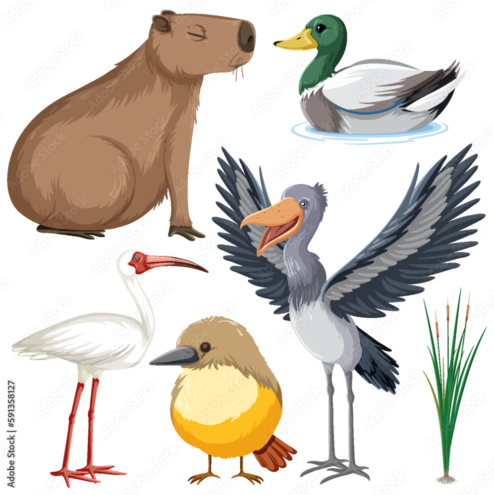Various Wetland Animals Collection