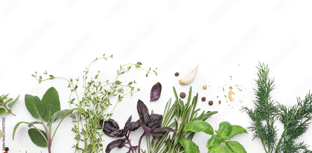 Composition with fresh herbs and spices isolated on white background, closeup