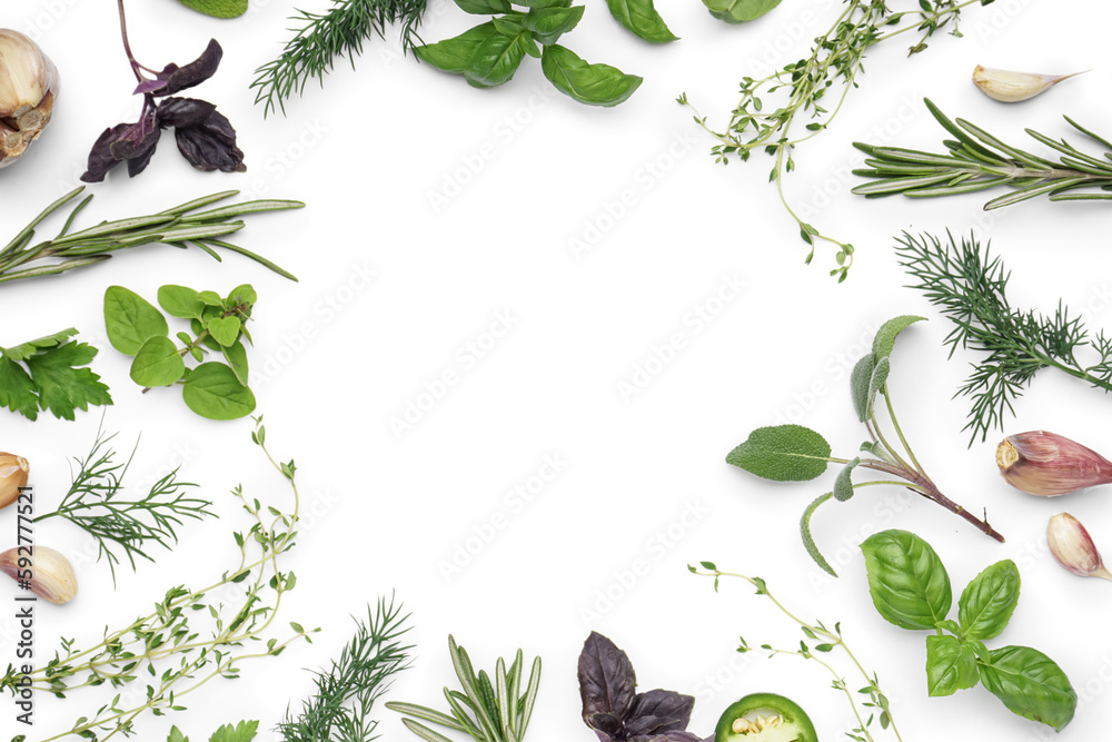 Frame made of fresh herbs and garlic on white background