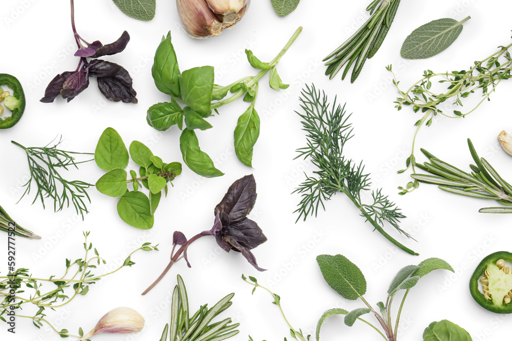 Composition with aromatic herbs isolated on white background