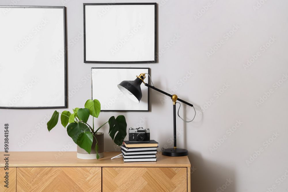 Houseplant with photo camera, books and lamp on table in room