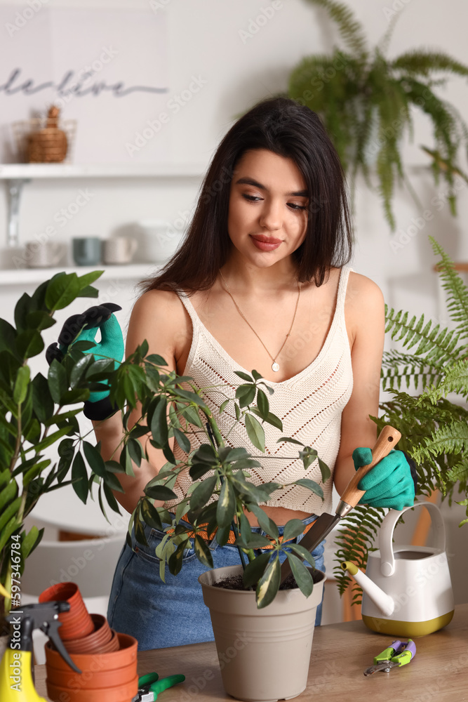 Young woman transplanting green houseplant in kitchen
