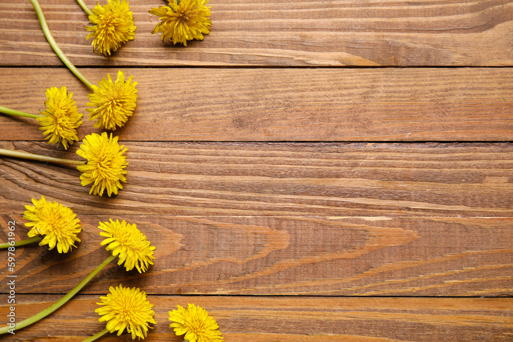 Bright yellow dandelions on wooden background