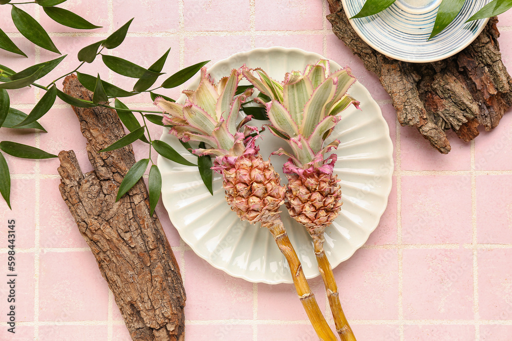 Plates with decorative pineapples, plant branches and tree barks on pink tile background