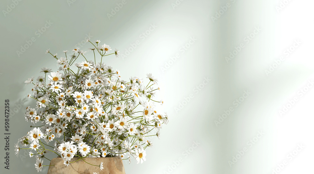 Fresh beautiful white, yellow chamomile daisy flower bouquet in brown pot in sunlight from window on
