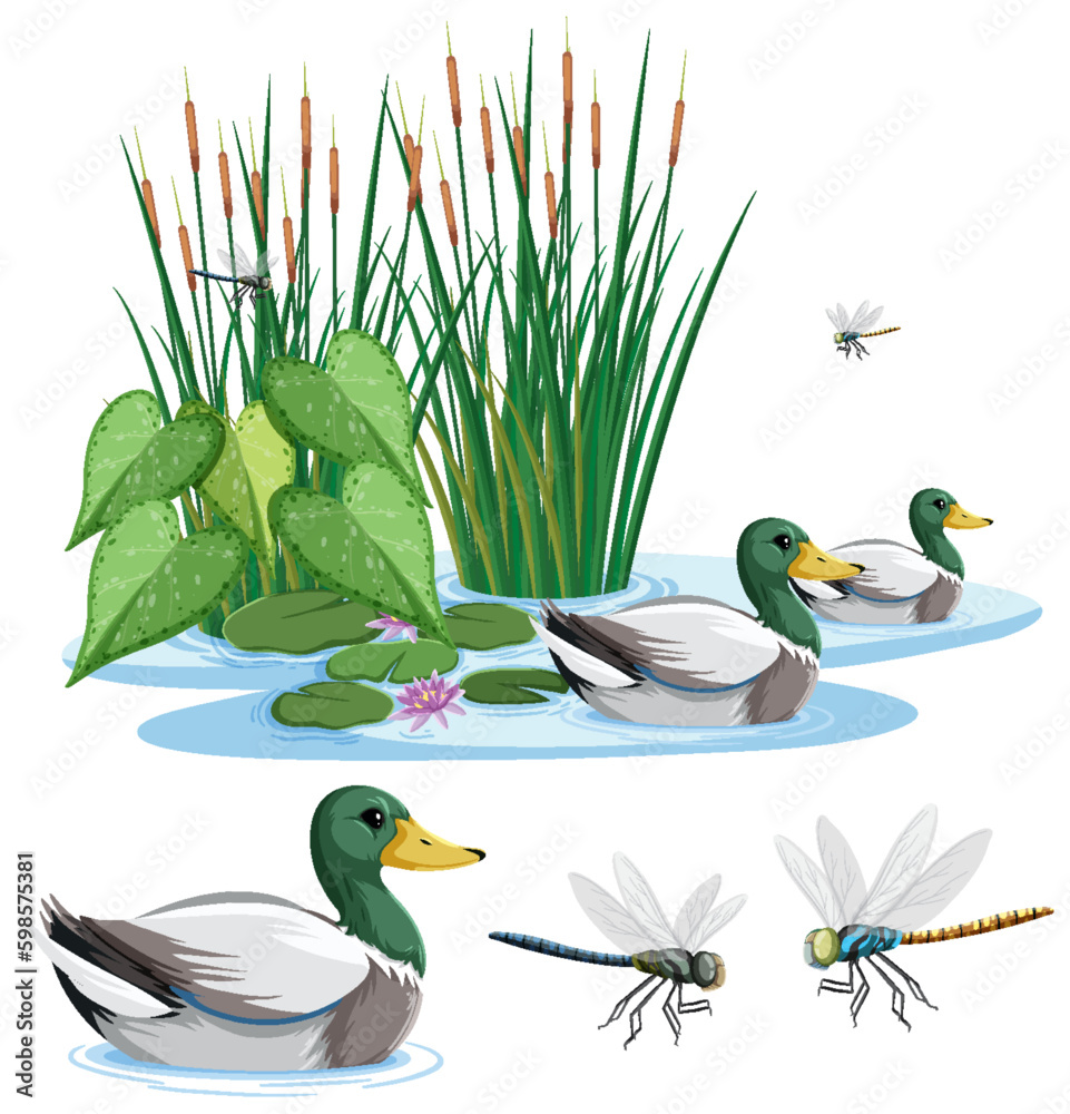 Duck Swimming in Pond with Dragonfly