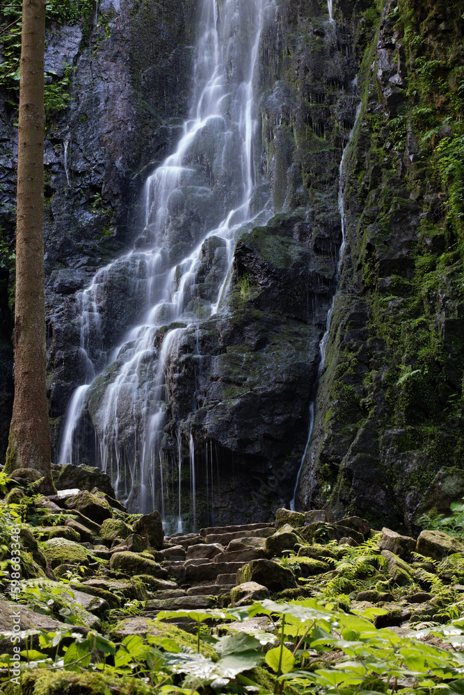 The Burgbach Waterfall in the coniferous forest falls over granite rocks into the valley near Bad Ri