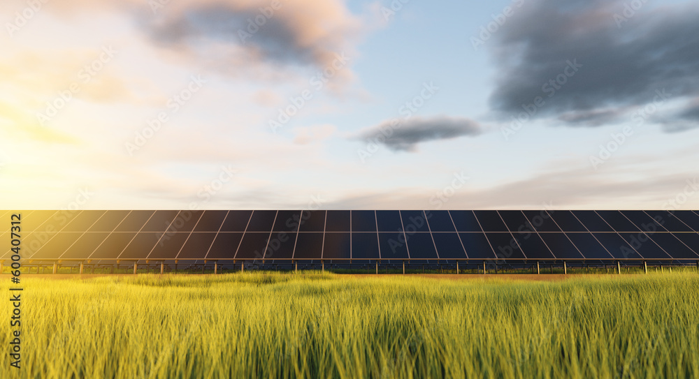Rows of solar panels at sunset in a field against the backdrop of green grass. Ground power plant of