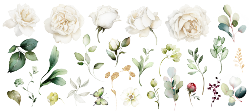 带有花朵的白色水彩布置，套装，束，野花、叶子、树枝组成的花束。植物插图；