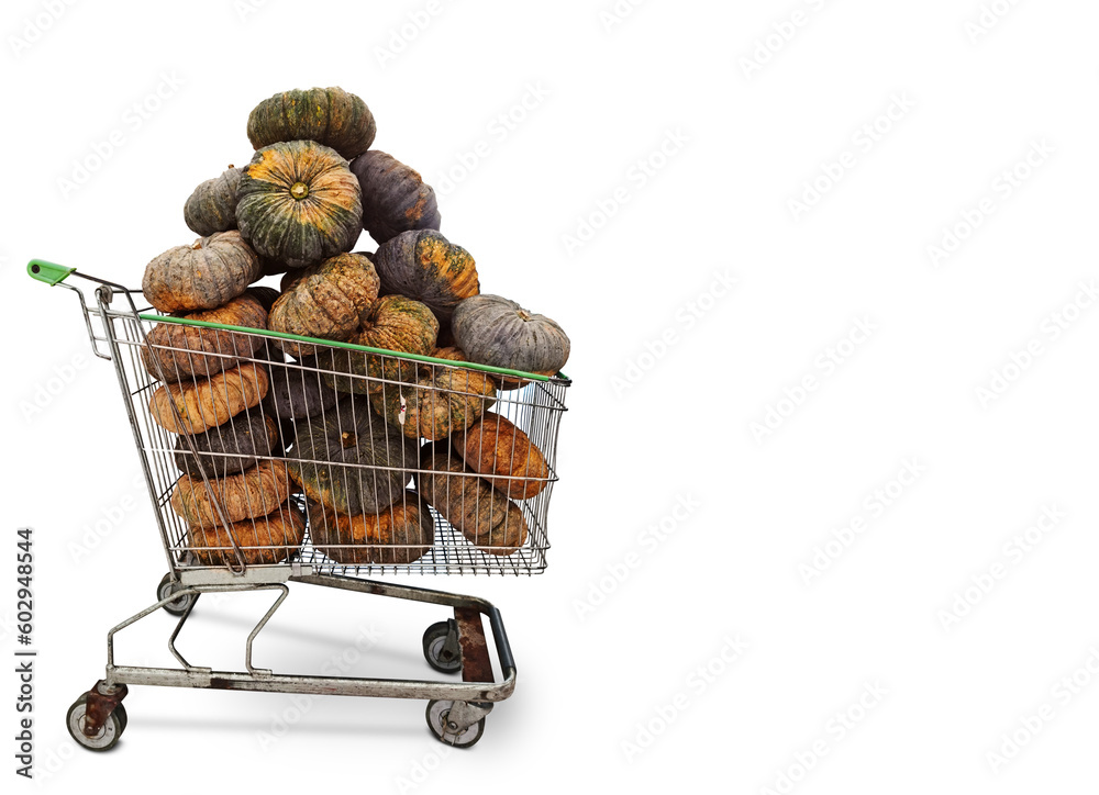 A cart full of pumpkins in the supermarket. isolated PNG transparent