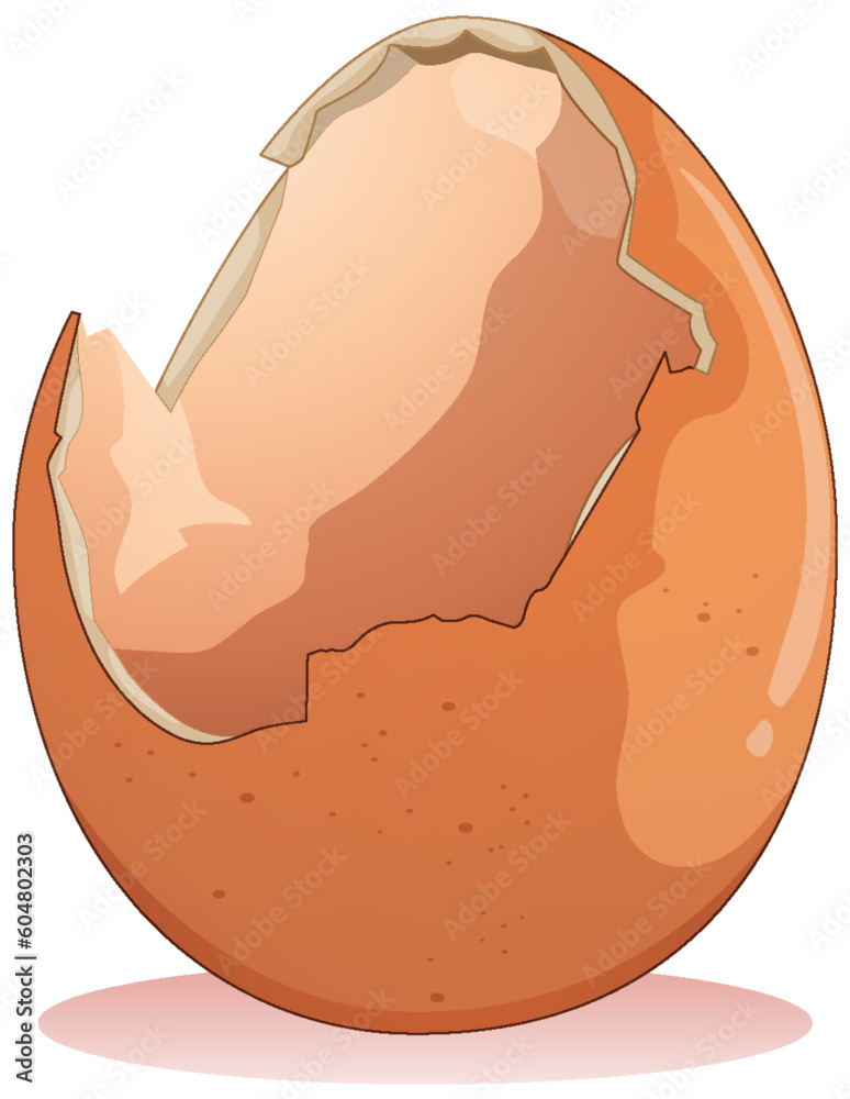 Cracked Egg on White Background