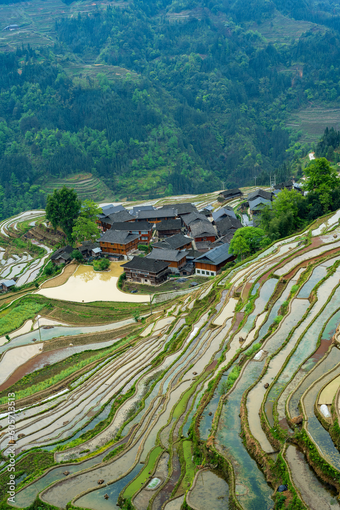landscape of terraces fields and village houses