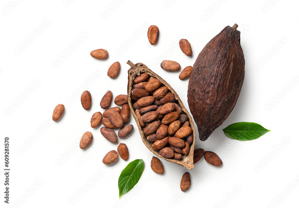 Dried cocoa beans with pod isolated on white background.