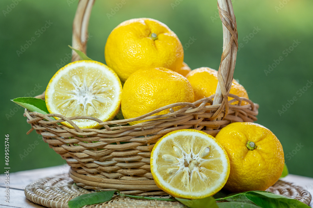 Kochi Yellow Yuzu over green natural Blur background, Yuzu Orange fruit in wooden basket over blur g
