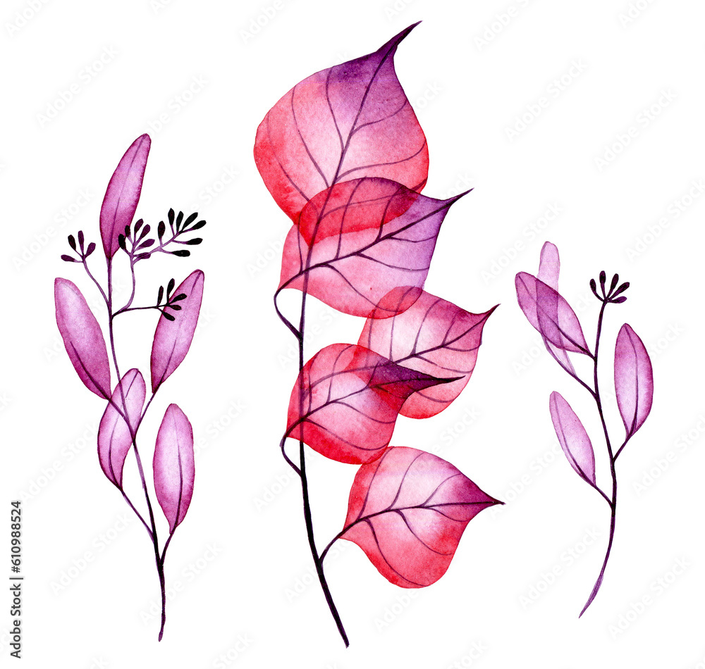 watercolor drawing. set of transparent leaves in pink and purple. autumn leaves