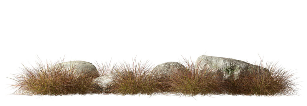 Savanna grass fields meadown with rocks on transparent backgrounds 3d render png