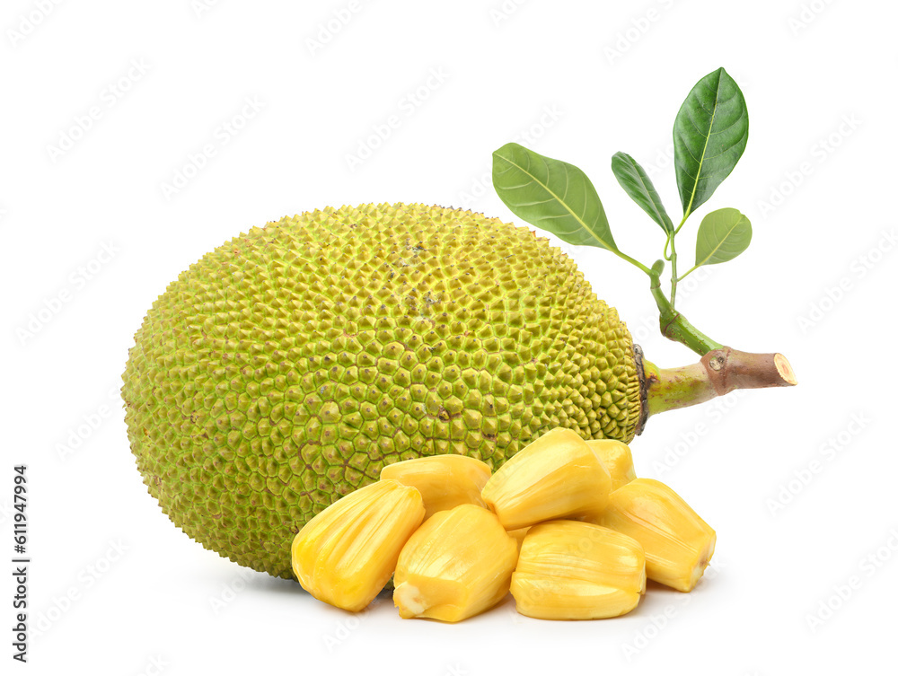 Ripe Jackfruit with bulbs isolated on white background.