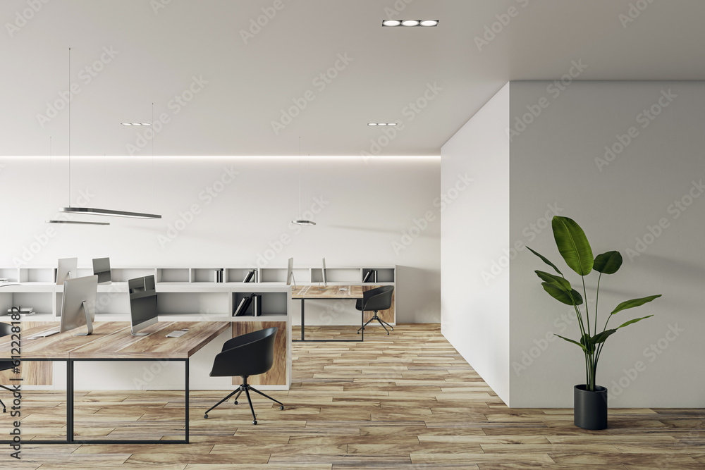 Modern office interior with plant. 3D Rendering