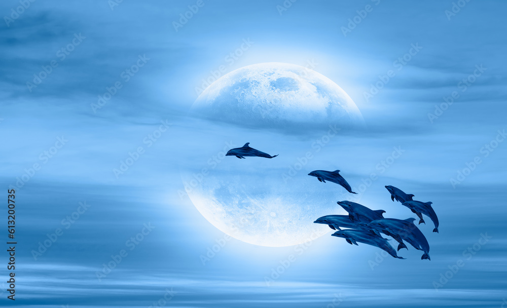 Group of dolphins jumping on the water with full moon - Beautiful seascape and blue sky  Elements of