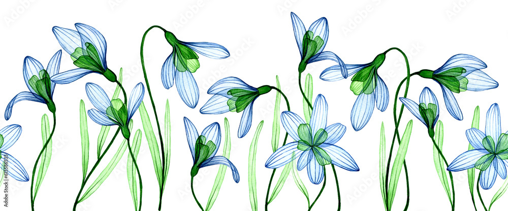 watercolor drawing. seamless border, frame of transparent flowers. spring blue flowers on a white ba