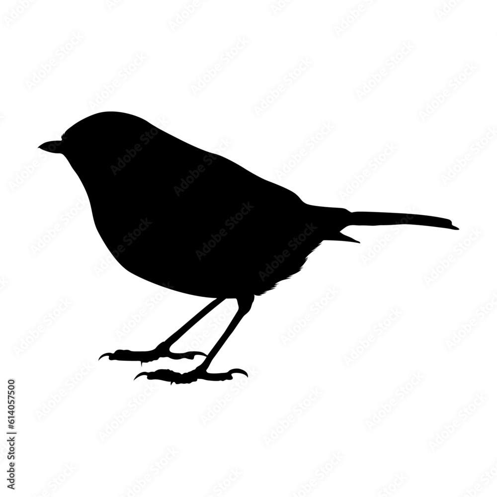 Standing Robin Bird Silhouette. Good To Use For Element Print Book, Animal Book and Animal Content