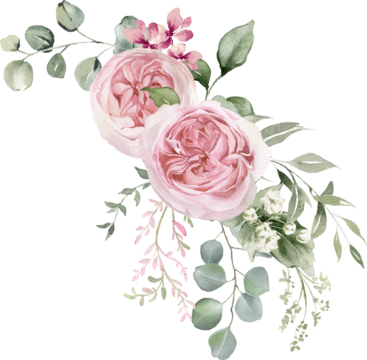 水彩花卉插画。粉色花朵和桉树绿叶花束。灰粉色玫瑰、柔和浅粉色牡丹 - 边框、花环、框架。完美的婚礼用品、问候、时尚、背景