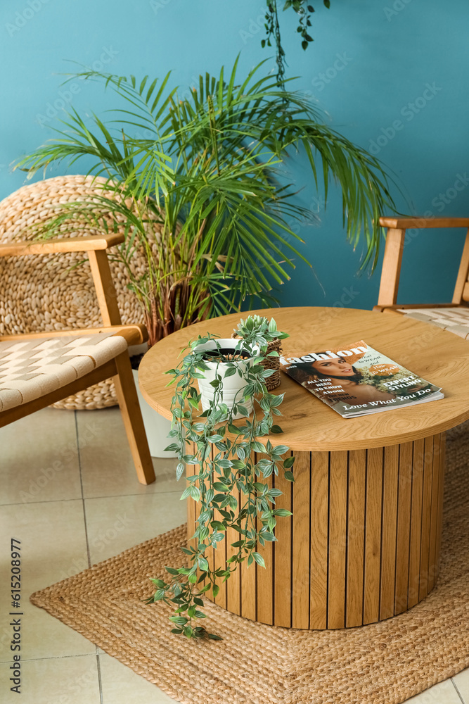 Wooden coffee table with magazine and houseplant in living room, closeup