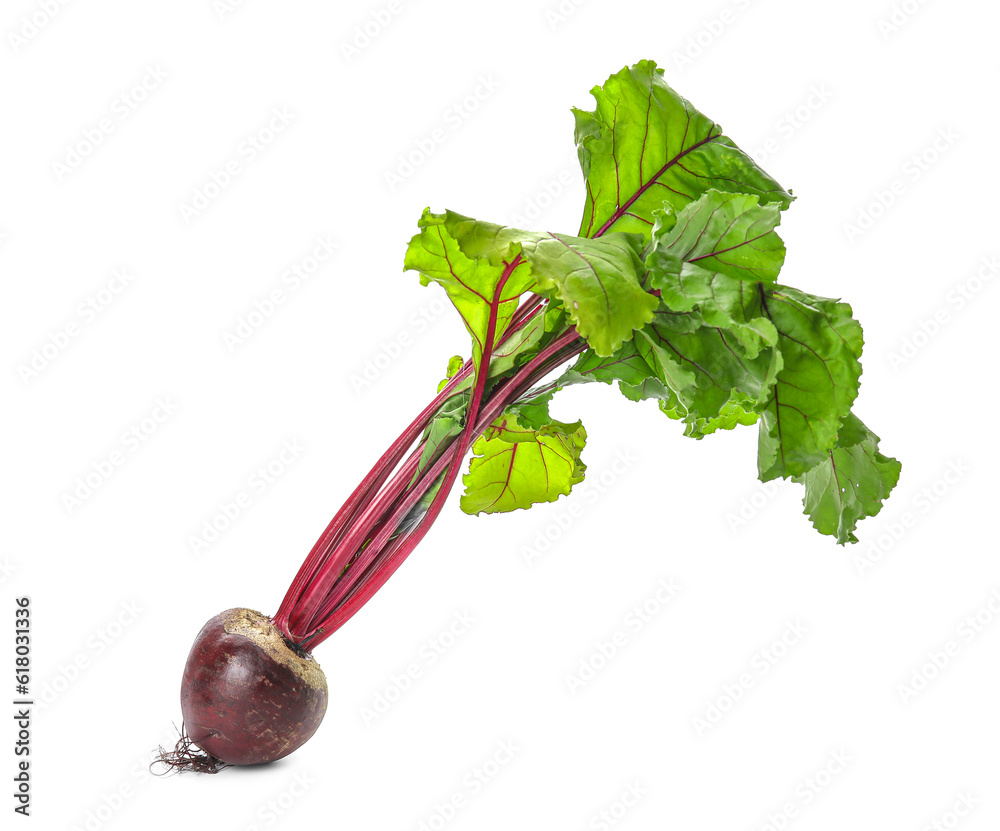 Fresh beet with green leaves on white background