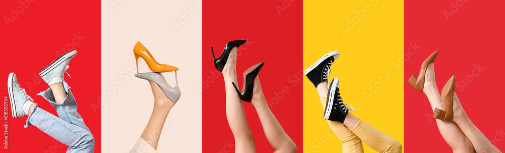 Set of female legs in different stylish shoes on color background